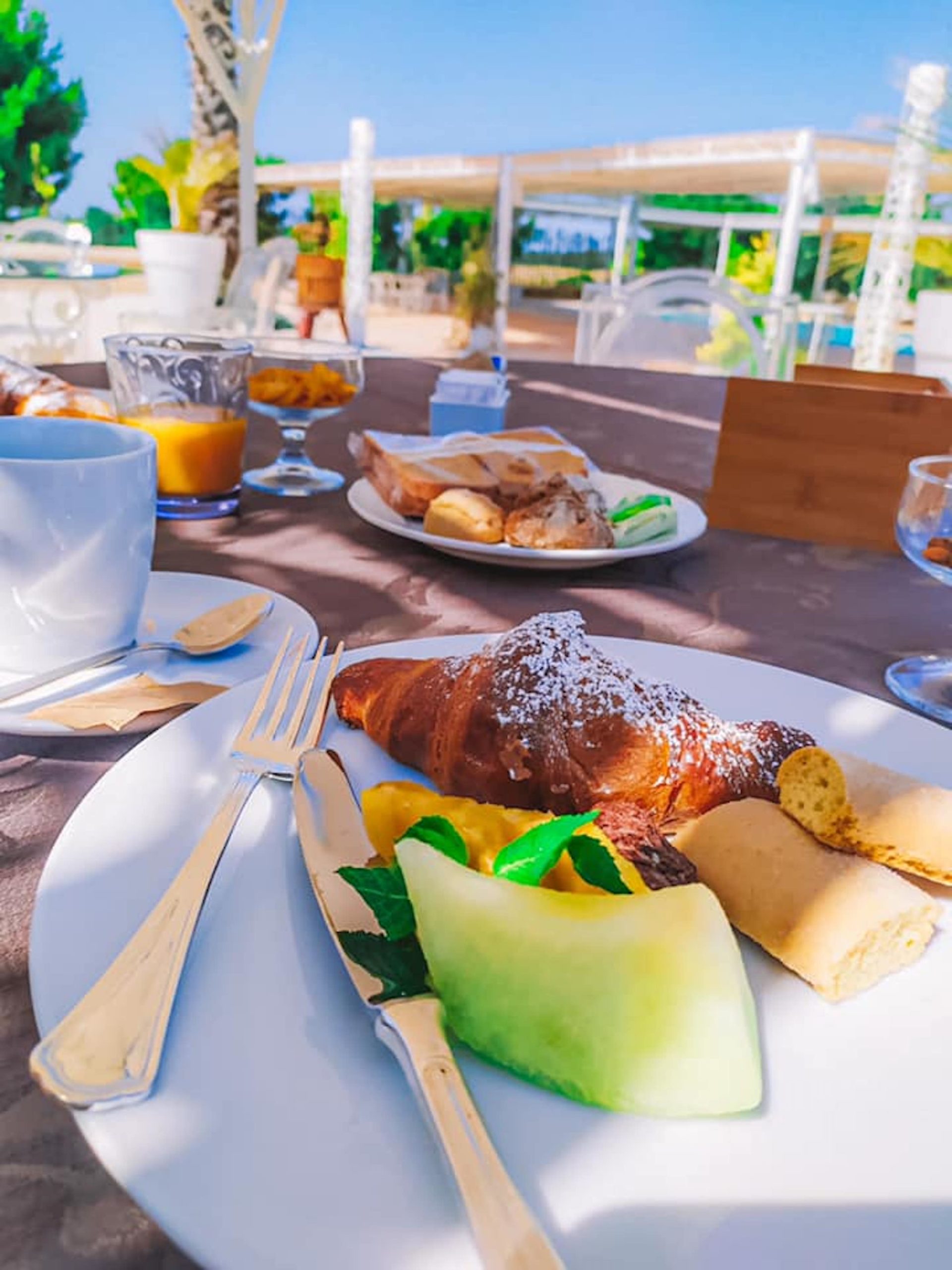 106462086_3345015105531146_8682832939303595864_n